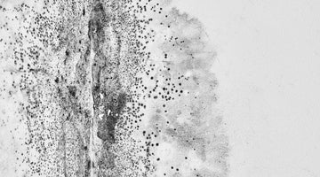 Using Light Therapy to Combat Fungal and Mold Infections