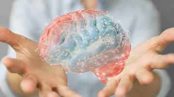 Red Light Therapy For Brain Health: Shining Light on the Head