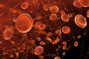 Mitochondria & Anti-Aging: Boosting Cellular Energy for Regenerating.