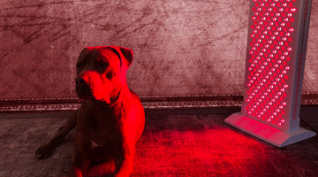 Is Red Light Therapy Considered Safe? Spoiler Alert - Yes.