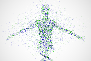 Your Cellular Structure Replaces Itself Every 7 Years.