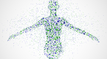 Your Cellular Structure Replaces Itself Every 7 Years.