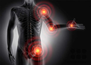 Common targeted red light therapy treatment areas highlighted on the human body.