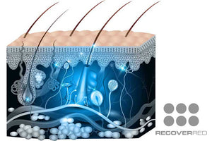 Illustration showing the effects of red light therapy to skin surface and sub surface.