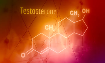 Increase Testosterone and Achieve Hormonal Health