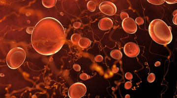 Mitochondria & Anti-Aging: Boosting Cellular Energy for Regenerating.
