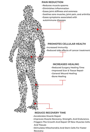 No Discomfort Red Light Healing Therapy